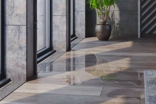 A large pool of water leaks over a building floor. A potted plant stands at the back. The water inches its way towards a rug on the right.