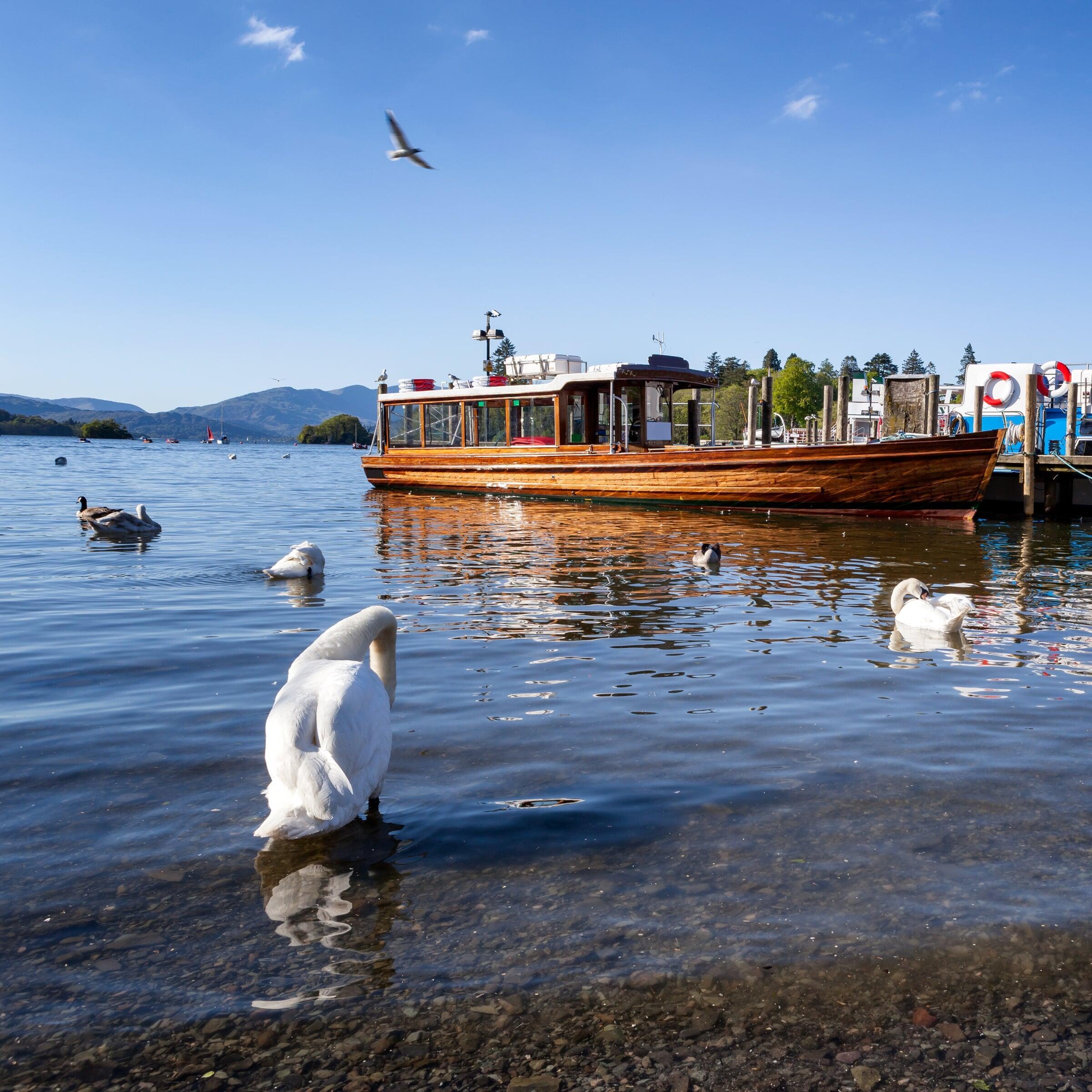 Bowness