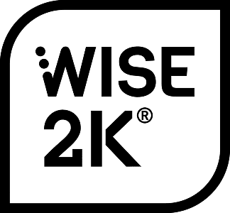 wise-2k-technology-logo