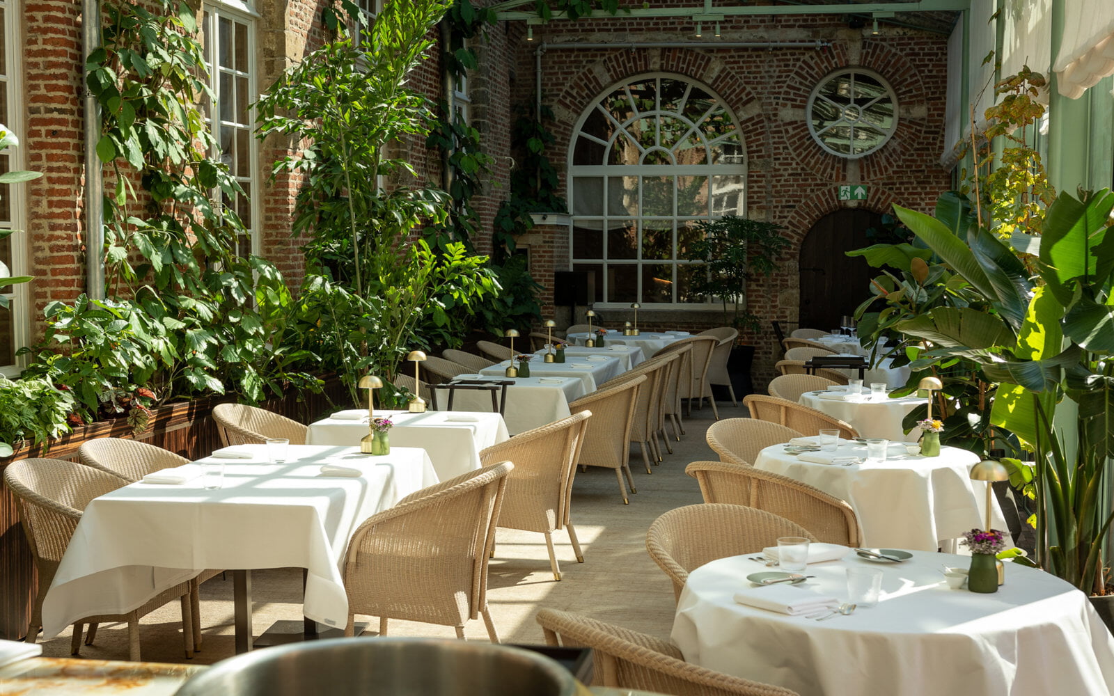 Chester Dining Chair