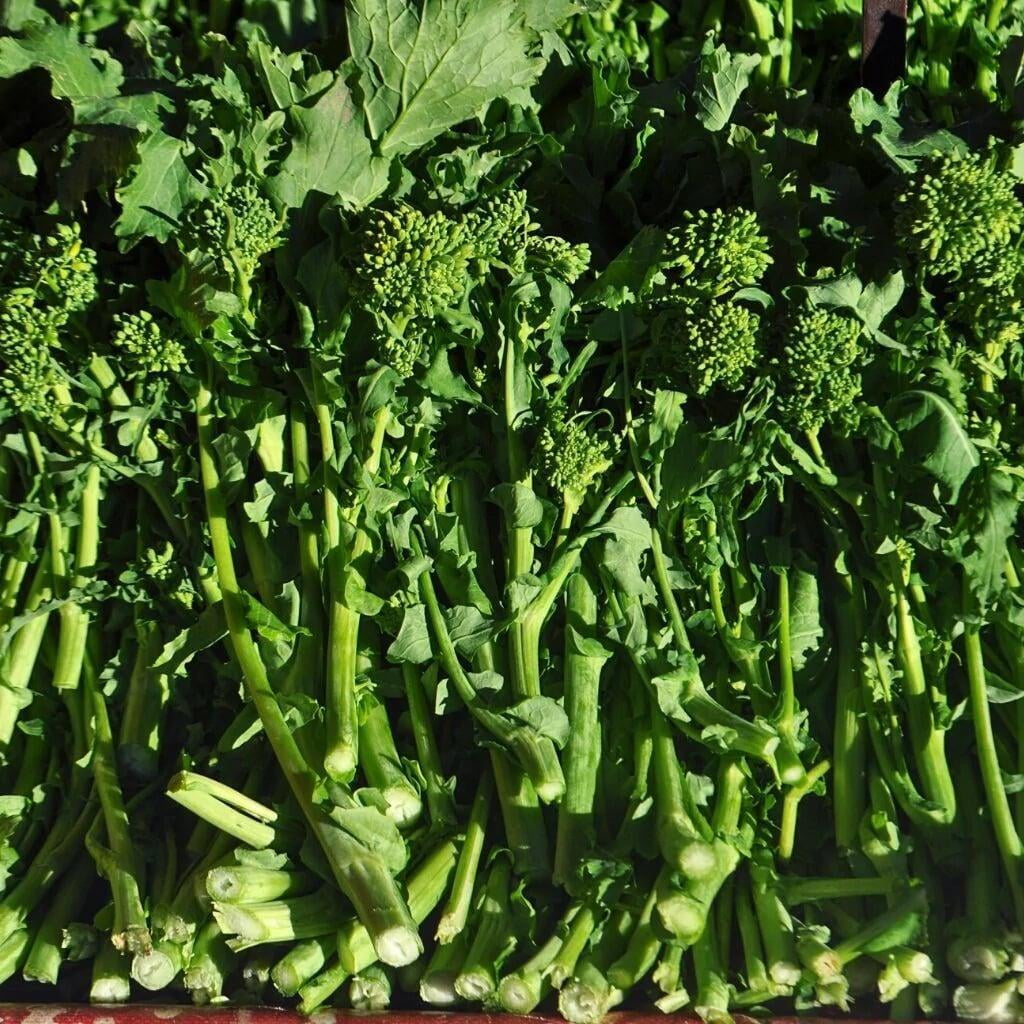 Friarielli napoletani