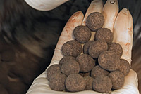 Chocoholic PanCoater CPC-300 Air