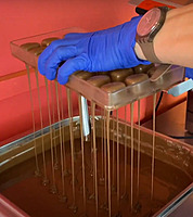 G1-13-0015 Profi Choco-Melter CM- 10