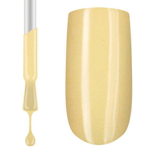 Claw Culture 100 Honey Bear