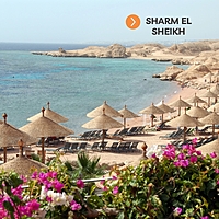 Peregrinación a Egipto - Siguiendo los Pasos del Éxodo y las Iglesias Coptas Peregrinación a Egipto - Siguiendo los Pasos del Éxodo y las Iglesias Coptas