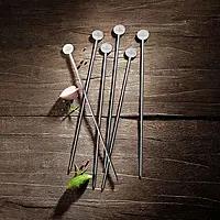 VILLEROY - BBQ Passion-Ensemble de 6 pics à brochettes