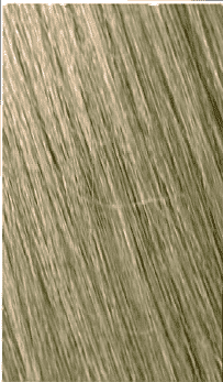 8S BIONDO CHIARO SABBIA