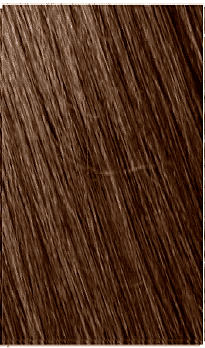 5.3 CASTANO CHIARO DORATO 5.3 CASTANO CHIARO DORATO