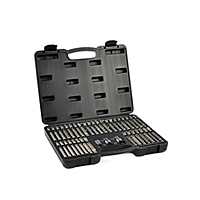 Hexagon key set - TORX, SPLINE, RIBE 75 pcs G10036