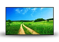 AllSee 55" Professional Monitor