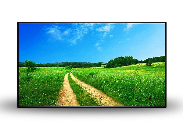 AllSee 43" Professional Monitor