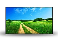 AllSee 32" Professional Monitor