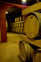 Caja 6 botellas 75 cl. TINTO 2024 Bodega Macià Batle Caja 6 botellas 75 cl. TINTO 2024 Bodega Macià Batle