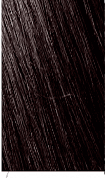 Mowan Megix|10 3-0 CASTANO SCURO Mowan Megix|10 3-0 CASTANO SCURO