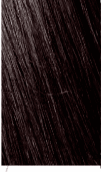 Mowan Megix|10 3-0 CASTANO SCURO Mowan Megix|10 3-0 CASTANO SCURO