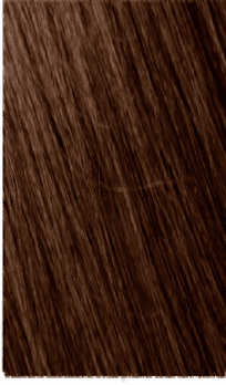 Mowan Megix|10 4-7 CASTANO MEDIO MARRONE Mowan Megix|10 4-7 CASTANO MEDIO MARRONE