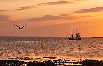 16/03 au 19/03/26 Sète-La Spezia : Croisière Evasion méditerranéenne