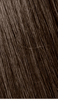 Mowan Megix|10 5-1 CASTANO CHIARO CENERE