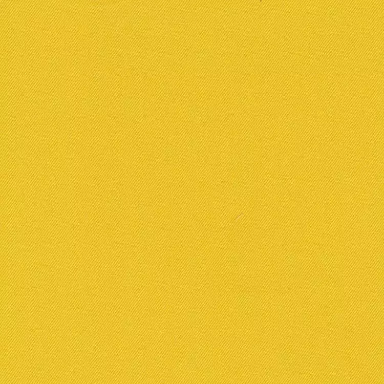 Brisbane Moss / Bright Yellow