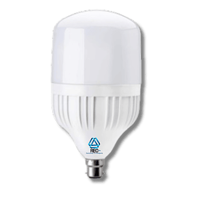 LED Bulb D50WB22