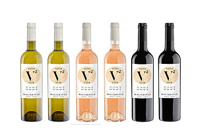 Caja 6 botellas V2 VITIS VILA Bodegas Macià Batñes