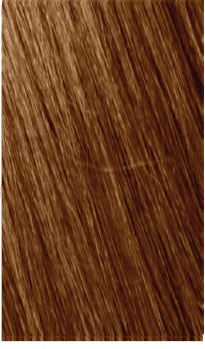 bhave 360 6-45 Creations - Dark Copper Mahogany Blonde 100ml 6-45