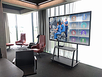 AllSee 65” 4K Large Format Display