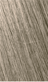 8.1 BIONDO CHIARO CENERE 8.1 BIONDO CHIARO CENERE