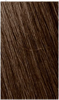 4.0 CASTANO MEDIO 4.0 CASTANO MEDIO