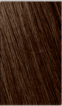 4.3 CASTANO MEDIO DORATO