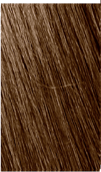 6.31 CAPPUCCINO 6.31 CAPPUCCINO