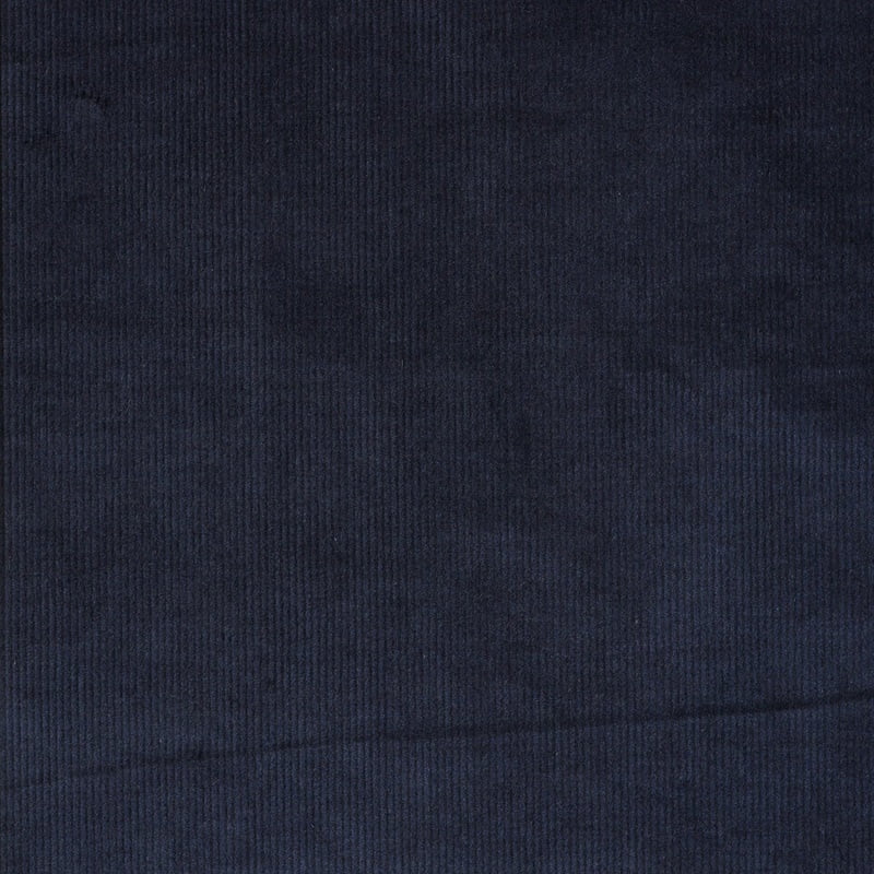 Loro Piana : Navy corduroy