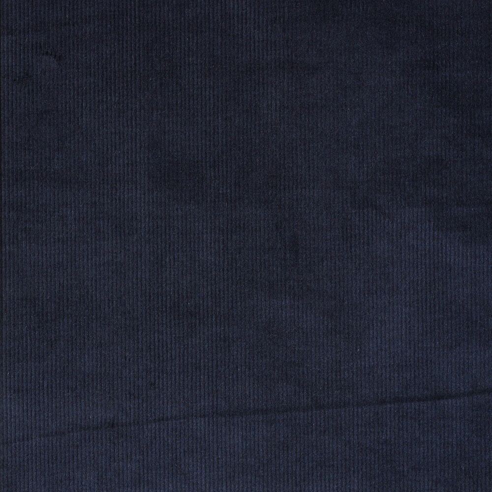 Loro Piana : Navy corduroy