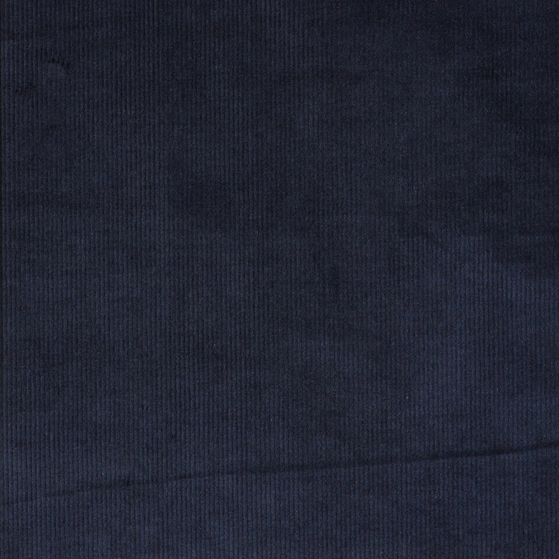 Loro Piana : Navy corduroy
