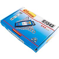 Set of combination wrenches on a plastic panel 6–22 mm 12 pieces Richmann C7343