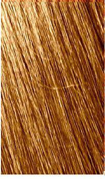 Mowan Megix|10 8-3 BIONDO CHIARO DORATO