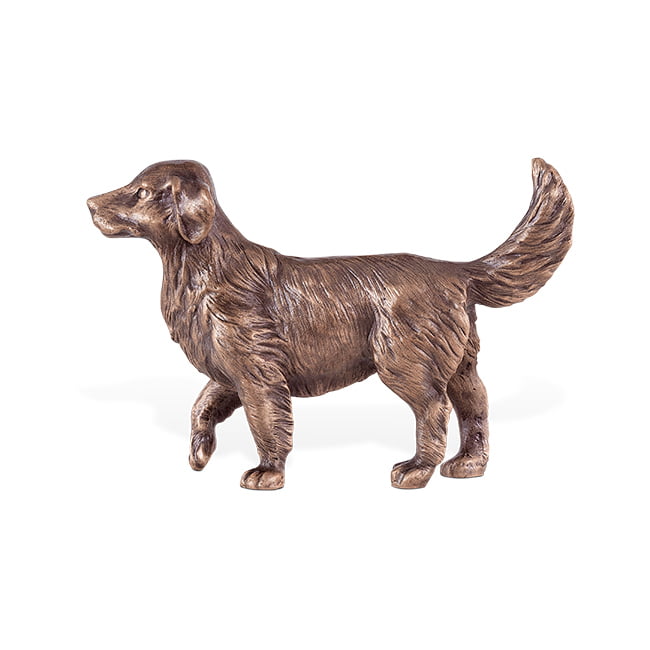 Bronzen Goldenretriever