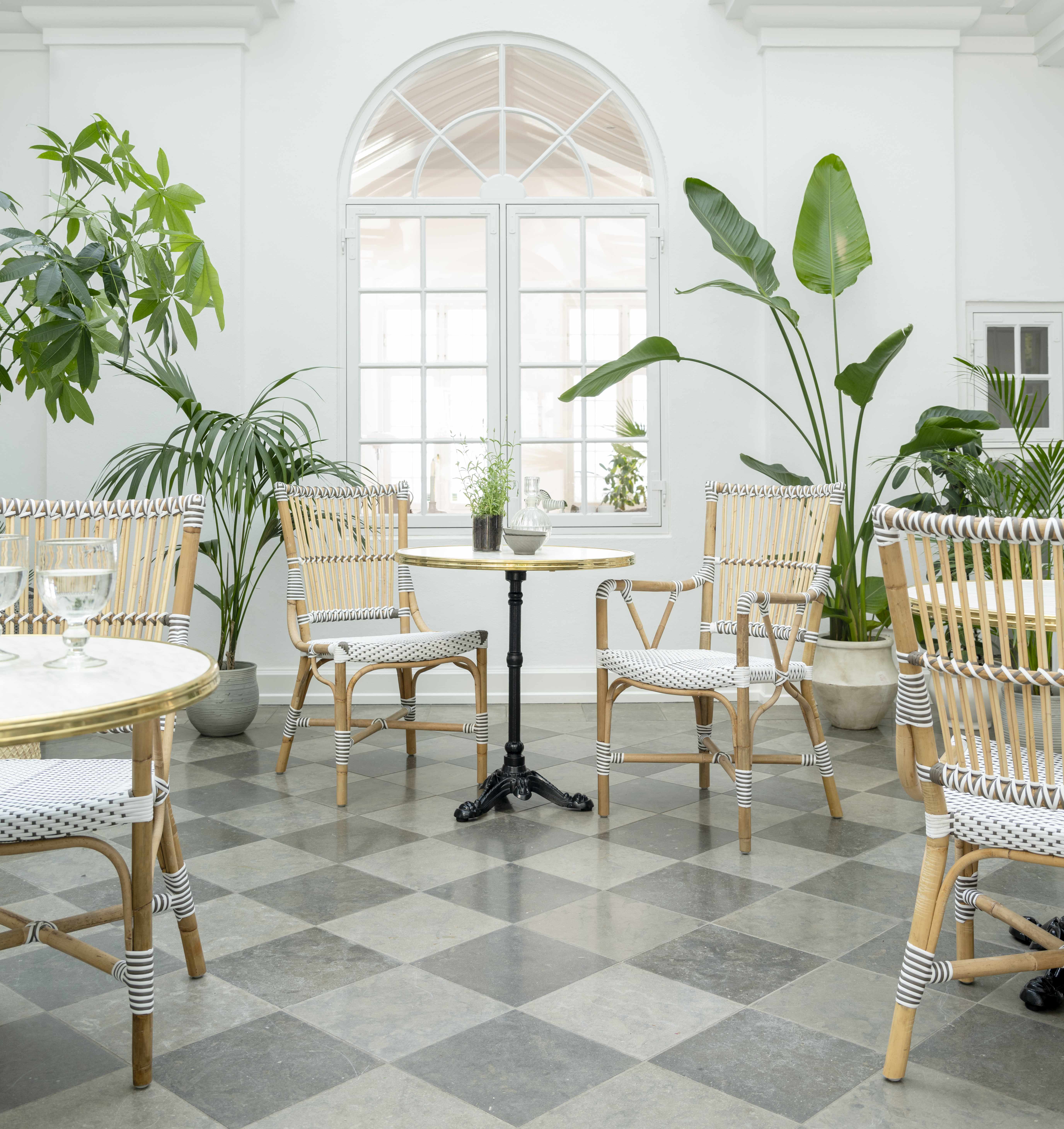 Monique Dining Chair