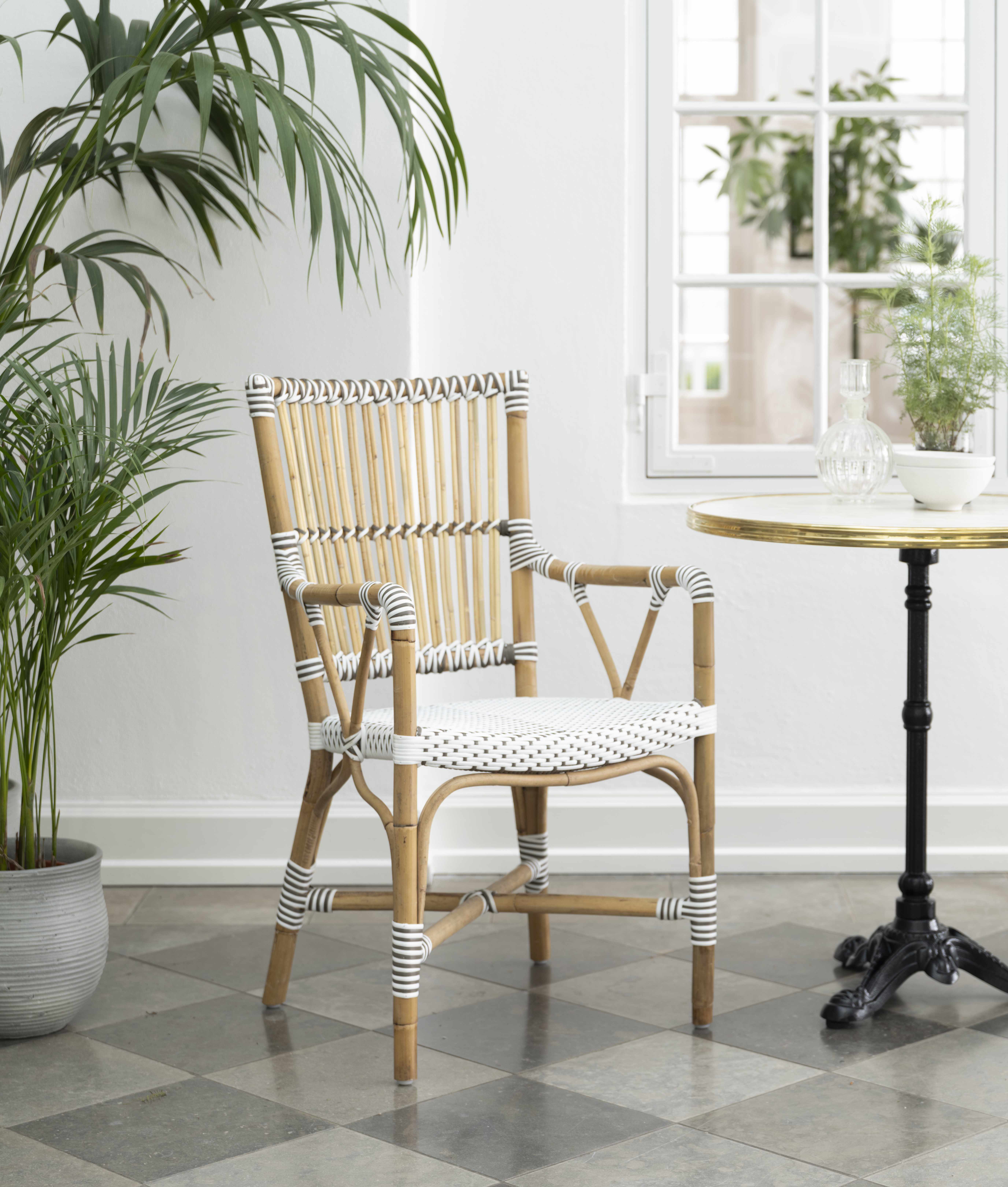 Monique Dining Armchair Monique Dining Armchair