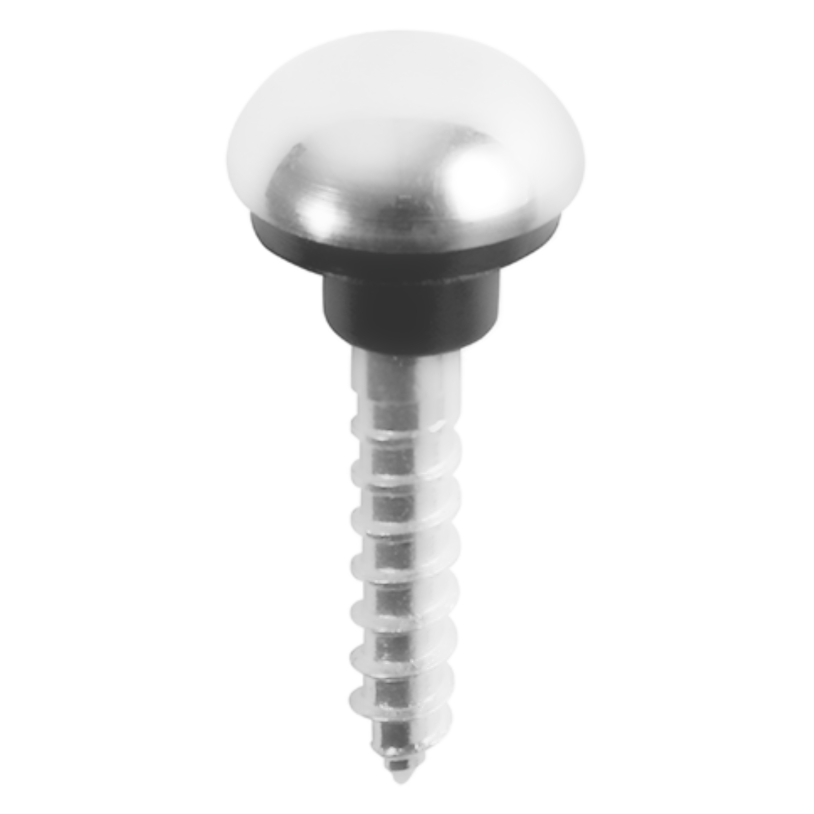 Dome Head Chrome with Screws (each)