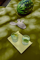 Alto Tray 23x17cm Alto Tray 23x17cm