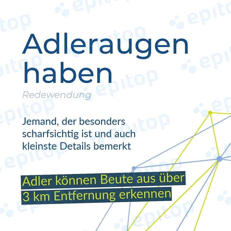 Social-Media Reel "Adleraugen haben" Social-Media Reel "Adleraugen haben"