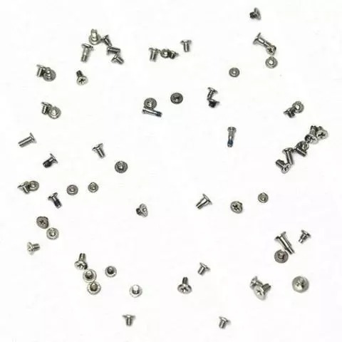 Apple iPhone 6 Plus - Replacement Complete Screw Set - With silver Pentalobe Screws