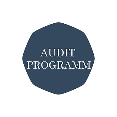 AUDITPROGRAMM (Lizenz) AUDITPROGRAMM (Lizenz)