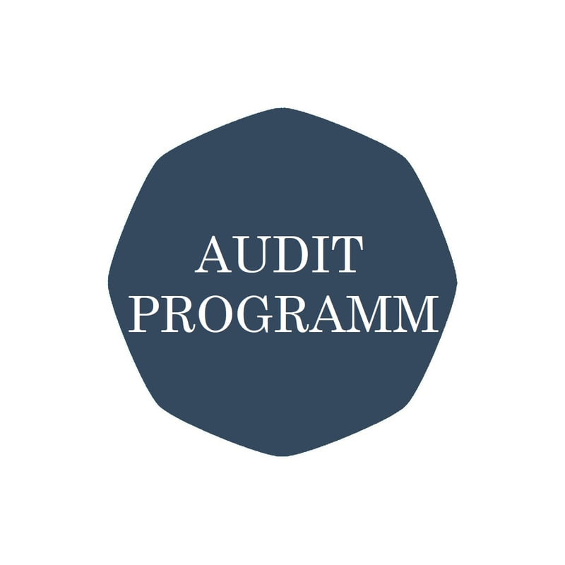 AUDITPROGRAMM (Lizenz) AUDITPROGRAMM (Lizenz)
