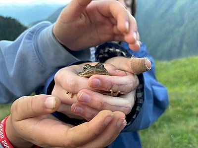 Adventure Camp in Austria