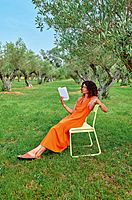 Bellevie Dining Chair V2 Bellevie Dining Chair V2