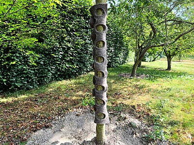 Baumschutz aus Wolle, plastikfrei