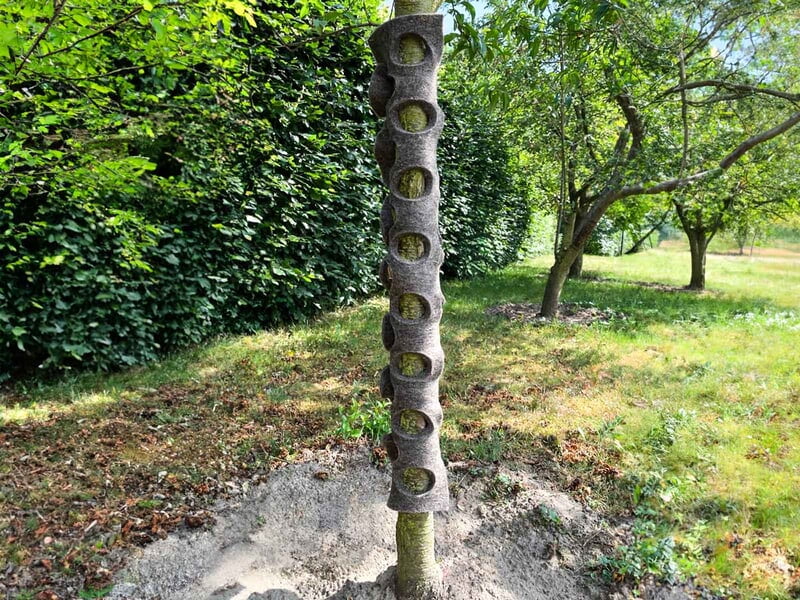 Baumschutz aus Wolle, plastikfrei