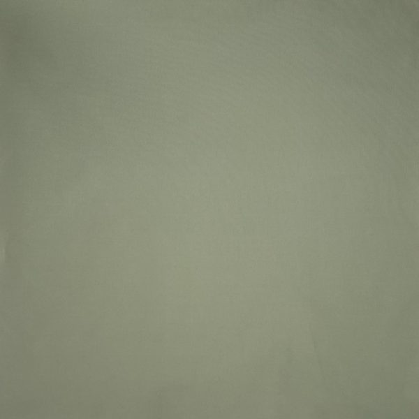 Brisbane Moss / Sage 2545